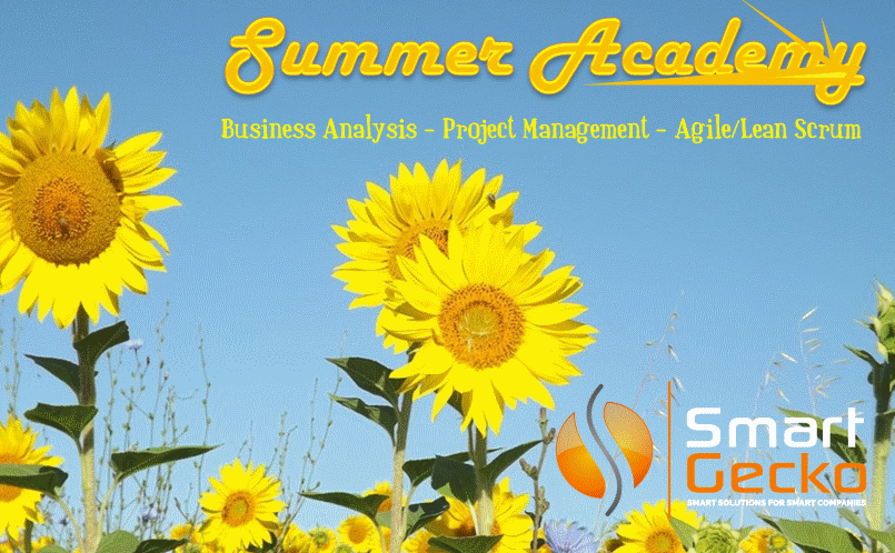 Smart Gecko Summer Academy Business Analysis rojet Management Agile Lean Scrum - Sunflowers