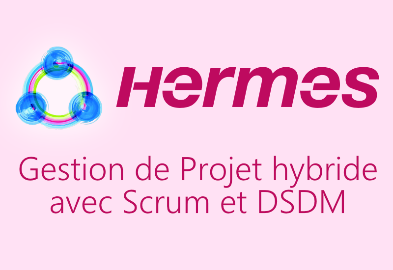 Smart Gecko - HERMES Gestion de Projet Hybride logo